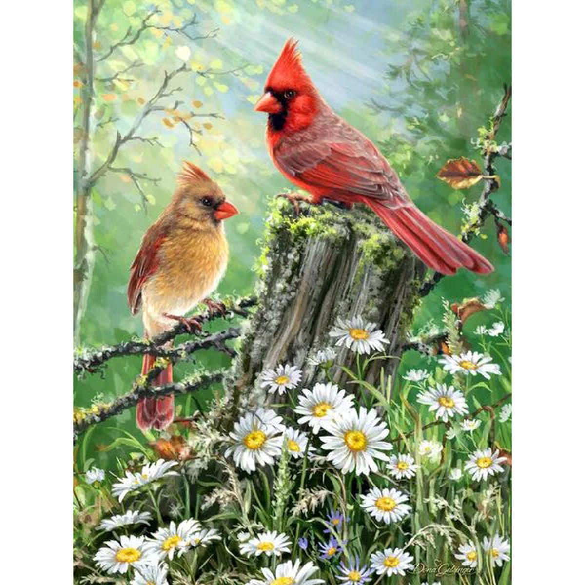 Golden Light Puzzle 33-01581 500-piece