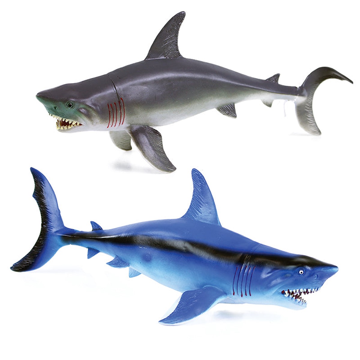 Shark 2 species 34 cm