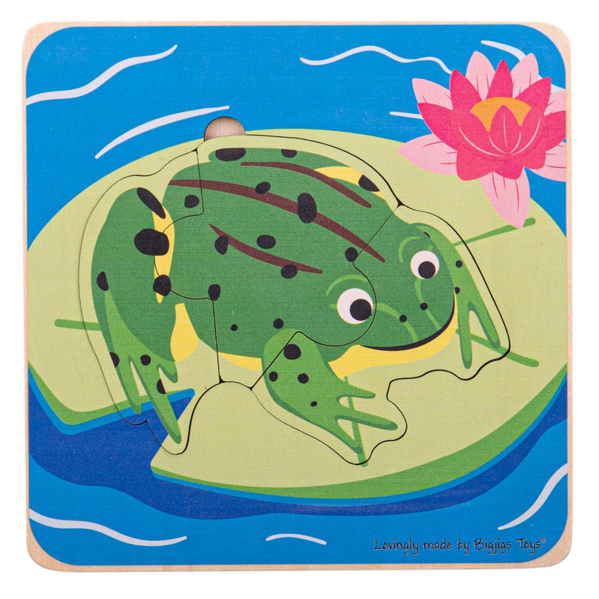 Lifecycle Layer Puzzle – Frog